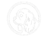 CAVALIER KING CHARLES SPANIEL HOME